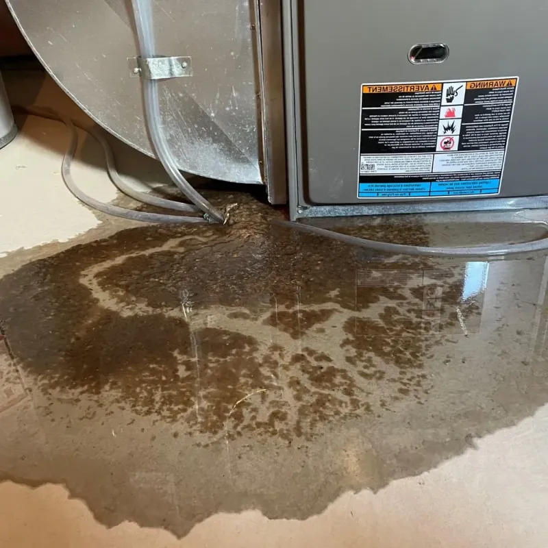 Pipe Burst and Leak Restoration in Steuben County, NY